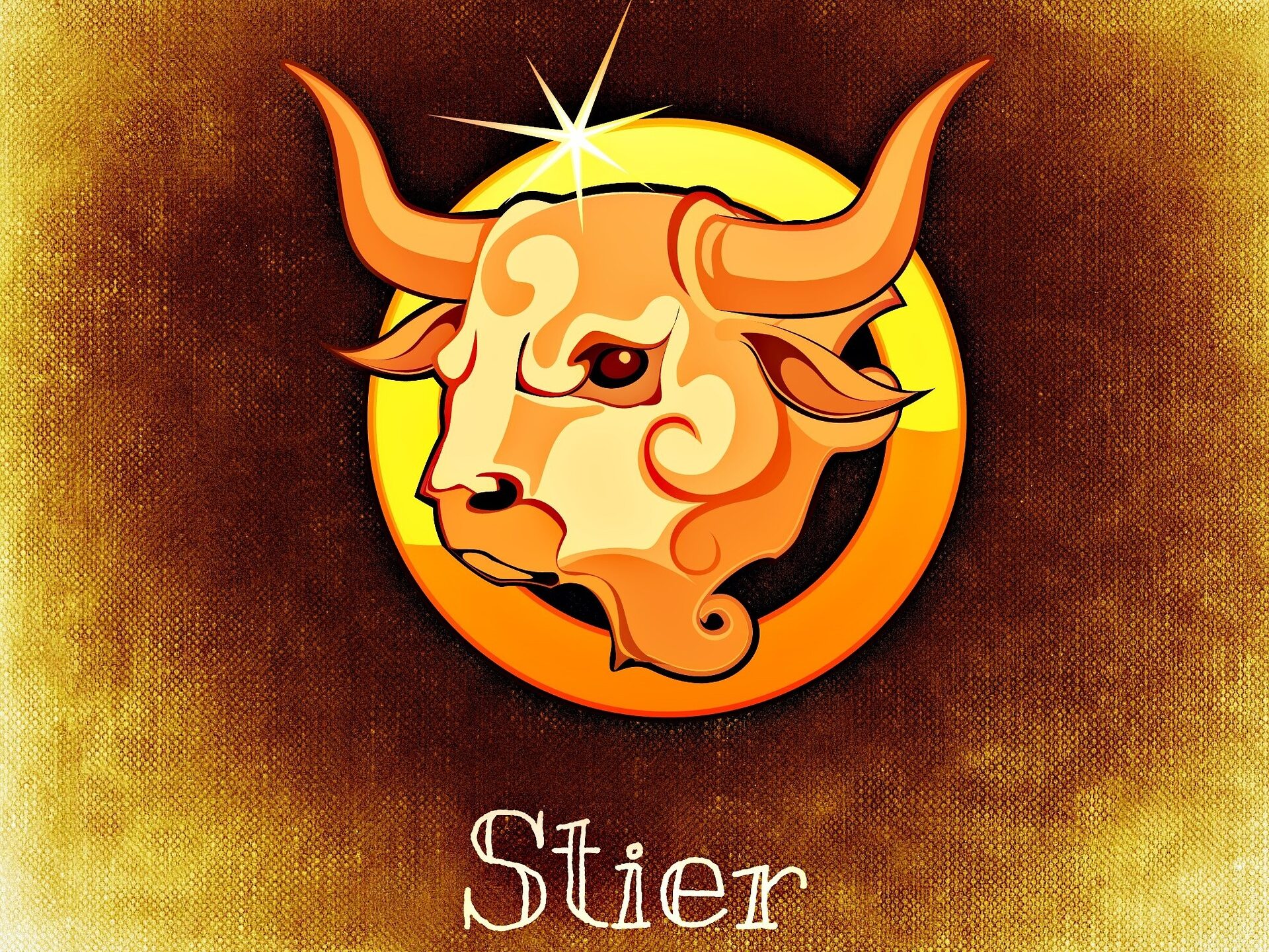 Stier Sternzeichen