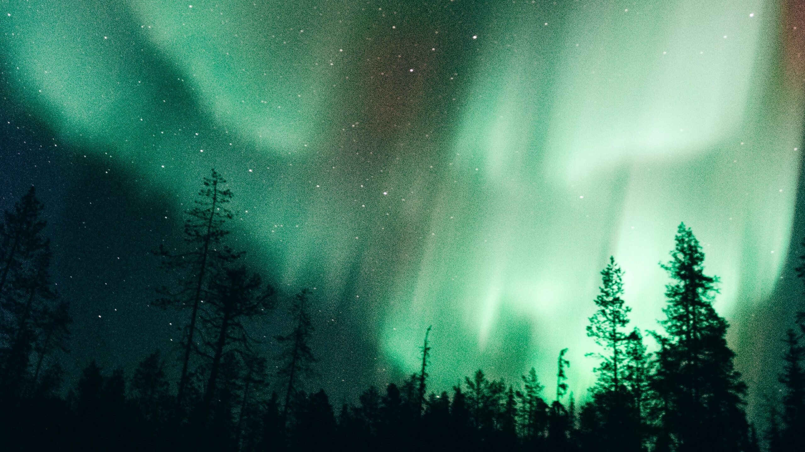 Polarlichter im Fokus