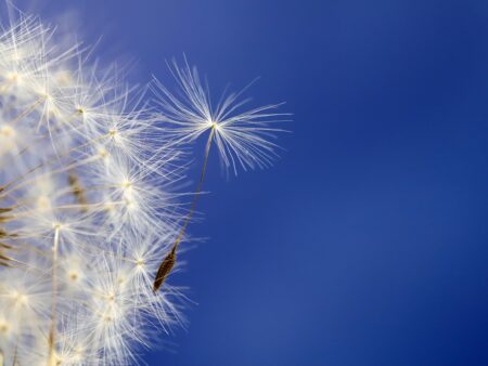 Loslassen lernen: Tipps für mehr Freiheit und Wachstum