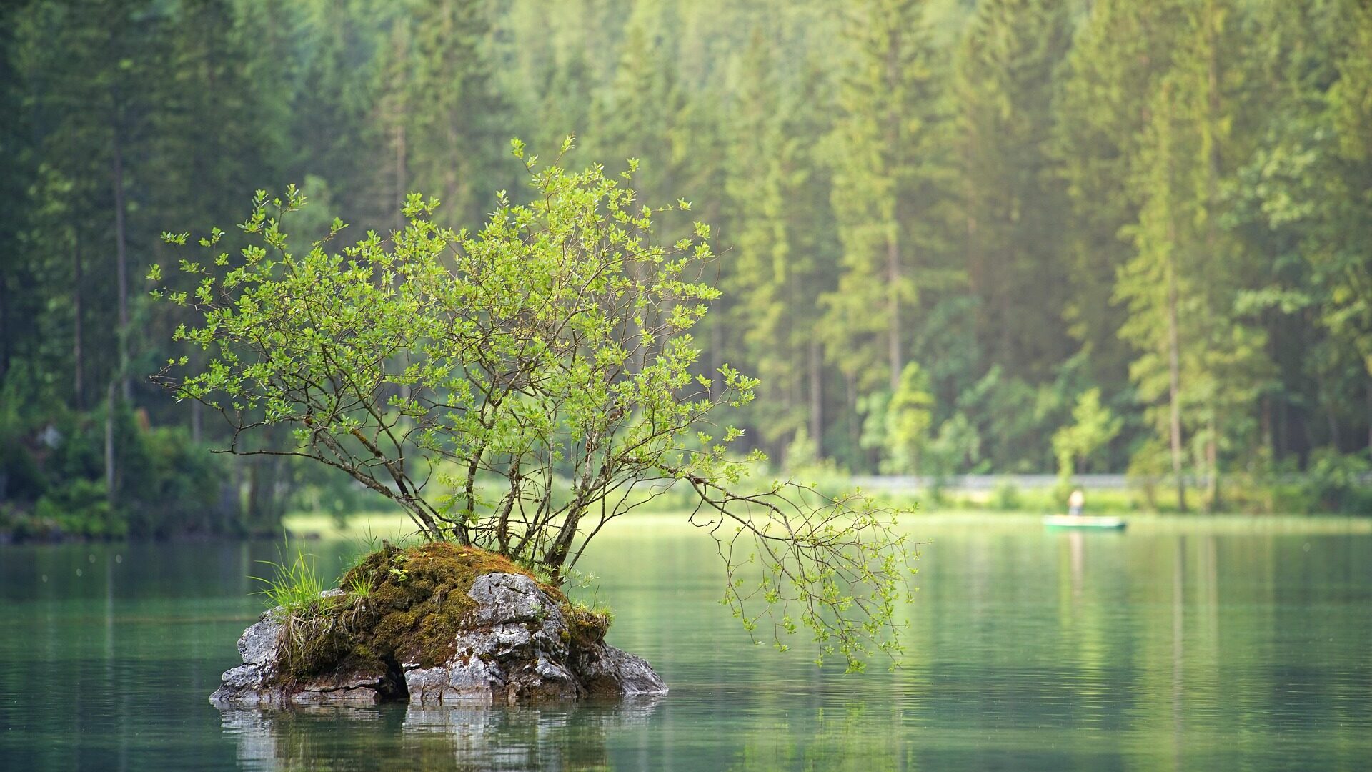 Gelassenheit in der Natur finden