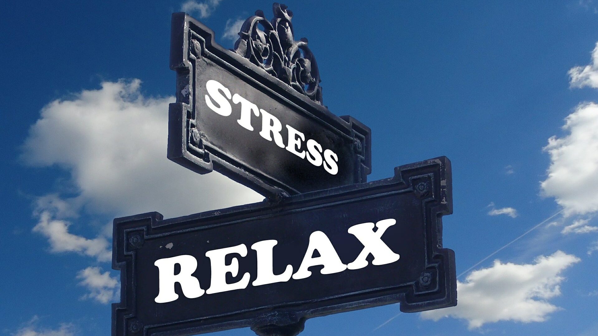 stress relax edited