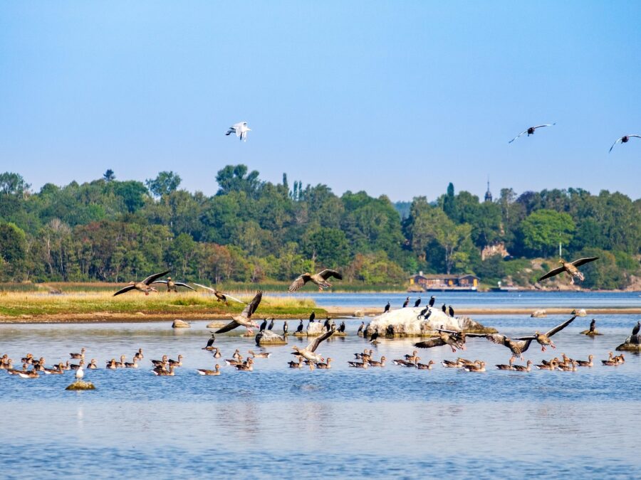 Besetzung Von Der Herr Der Ringe Besetzung von der Herr der Ringe: 13 Top Stars im Detail